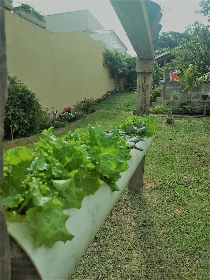 Villa Nossa Casinha Atibaia - Linda Vista Pra Pedra Grande Extérieur photo